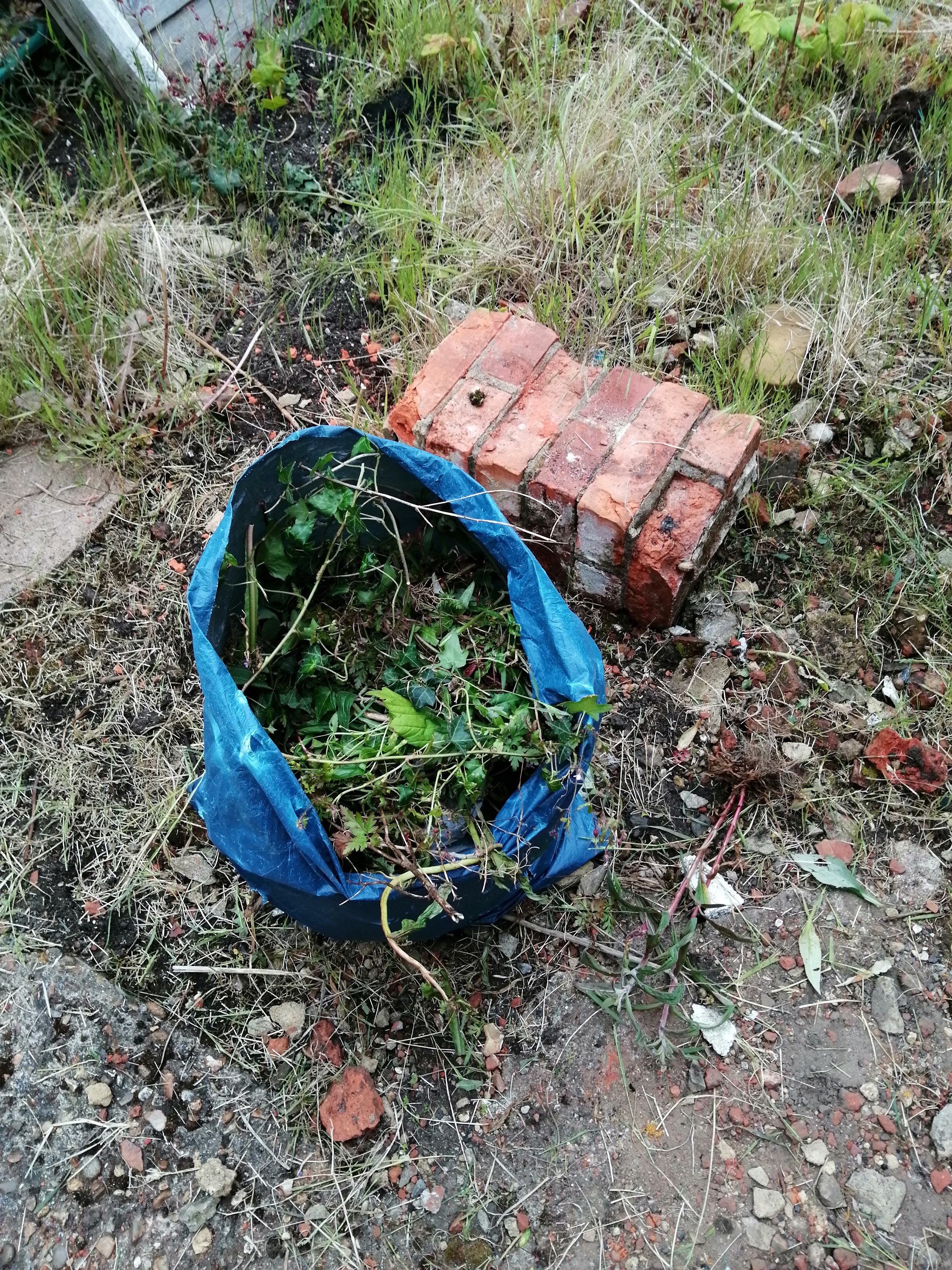 IC Builders project image 1